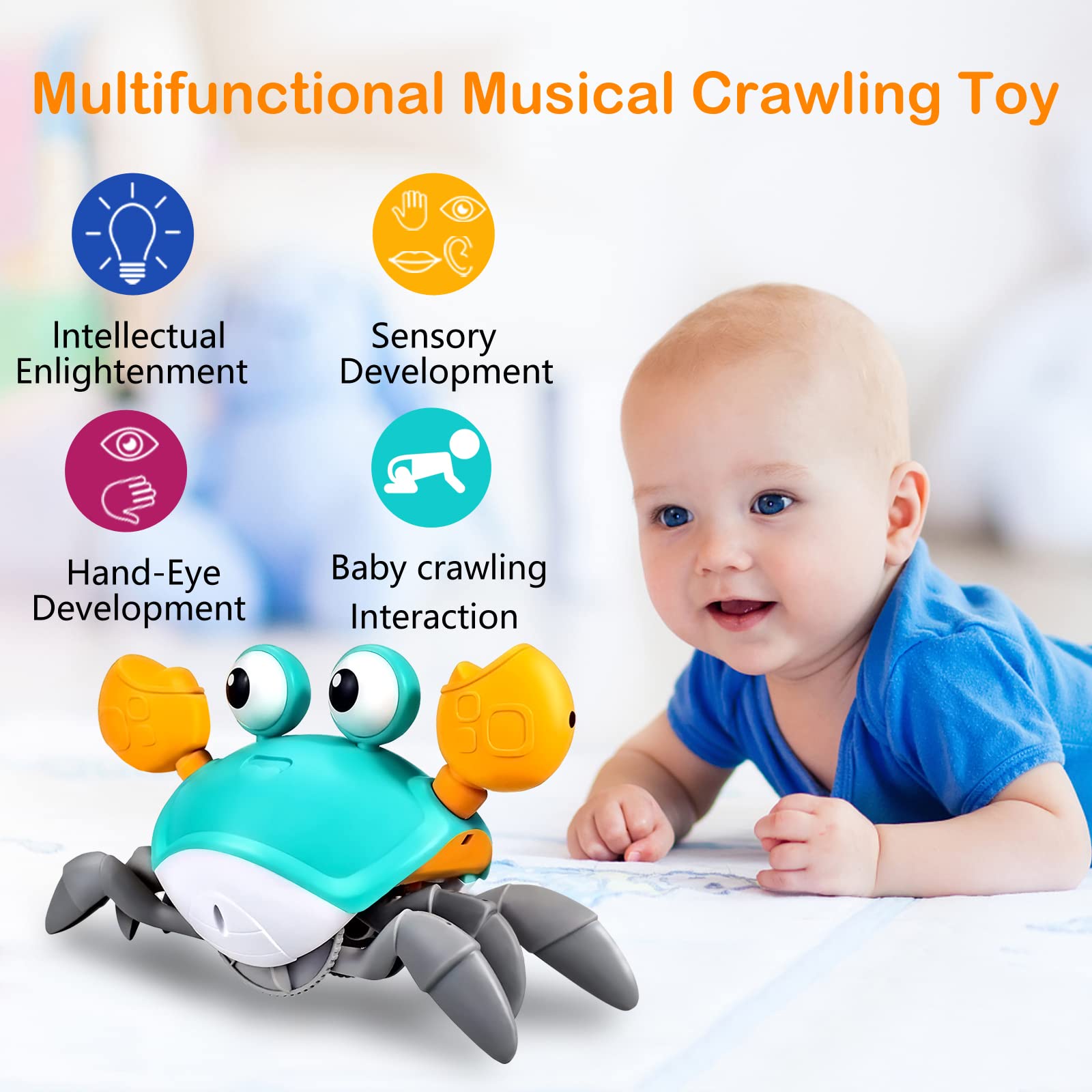 Crawling Crab Toy